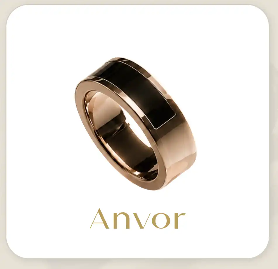 Anvor vs Other Smart Rings: What Sets It Apart for B2B Partners